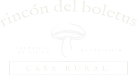 Rincón del Boletus